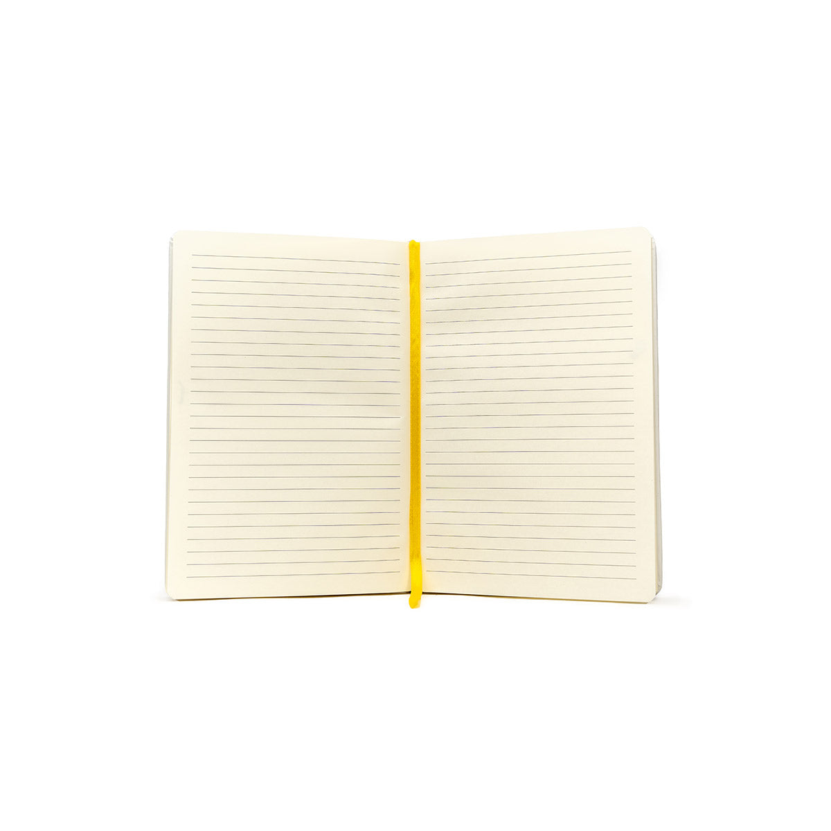 Exandria RPG Adventure Journal